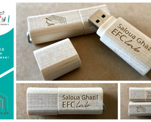 Clé USB personnalisée pour EFC Lab